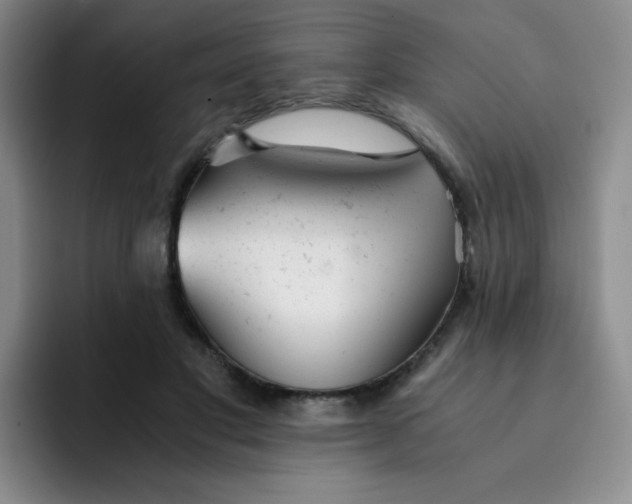 X0000091660501200709201147