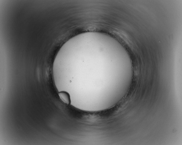 X0000091660503200709201147