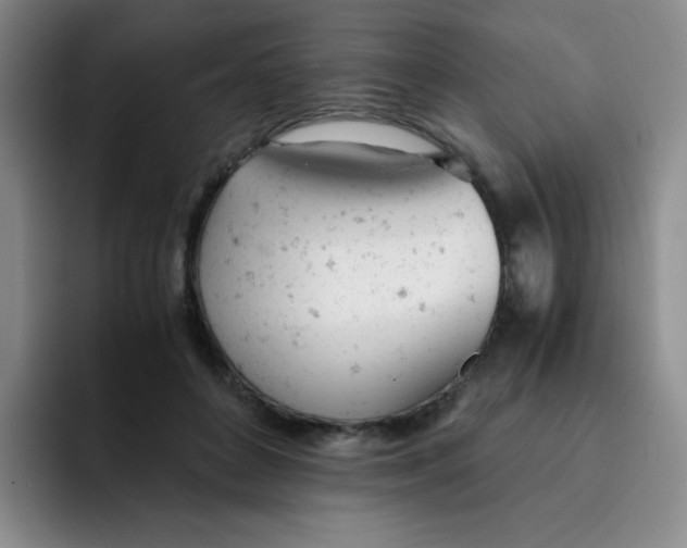 X0000091660504200709201147
