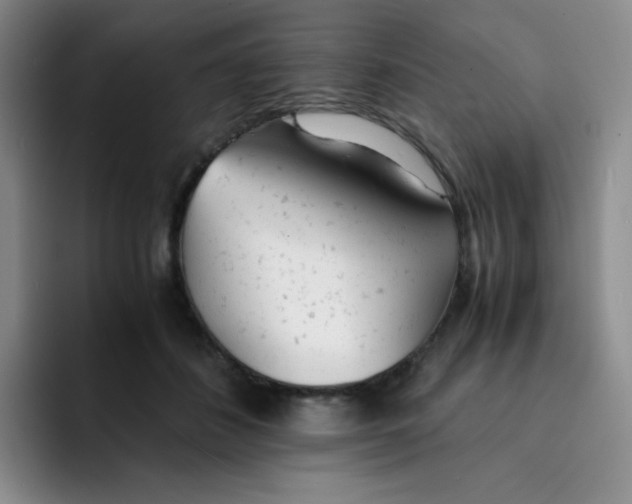 X0000091660508200709201147