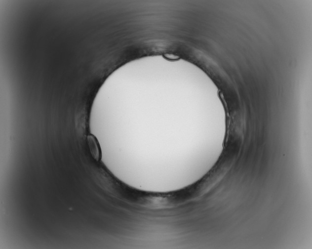 X0000091660509200709201147