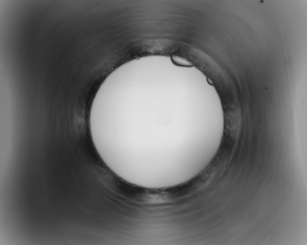 X0000091660510200709201147