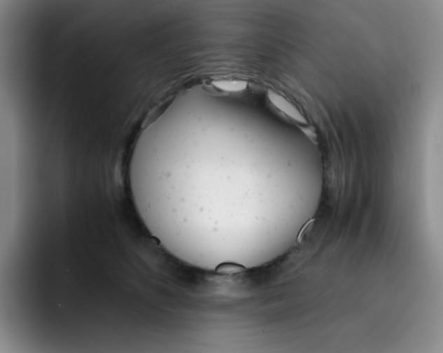 X0000091660516200709201146