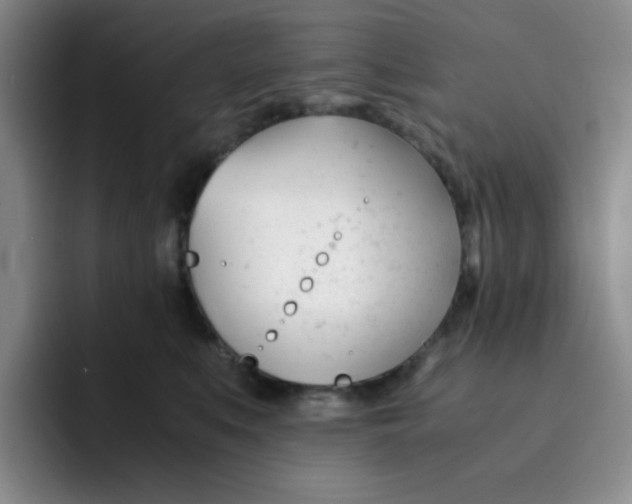 X0000091660519200709201146