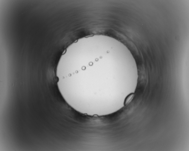 X0000091660523200709201146