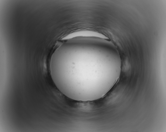 X0000091660524200709201146