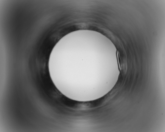 X0000091660525200709201146