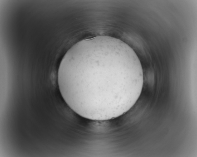X0000091660526200709201146