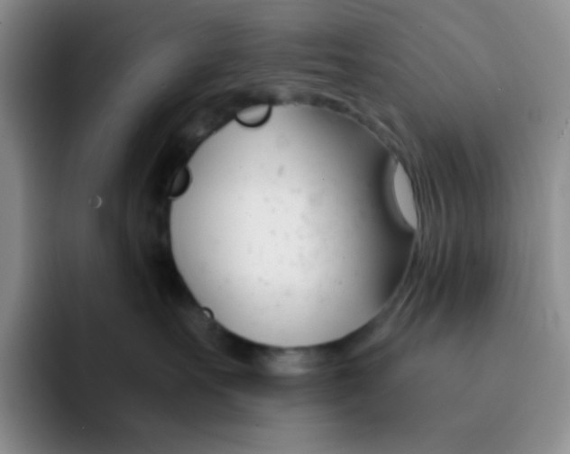 X0000091660527200709201146