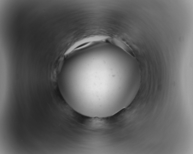 X0000091660528200709201146