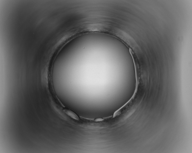 X0000091660530200709201146