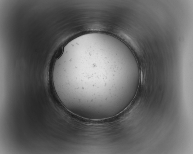 X0000091660531200709201146