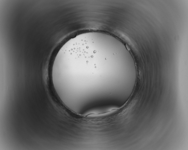 X0000091660532200709201146