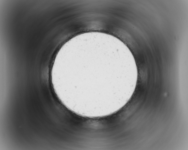 X0000091660534200709201146