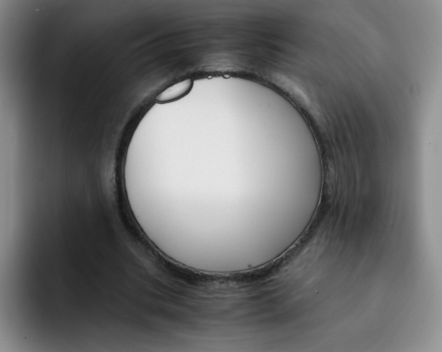X0000091660535200709201146