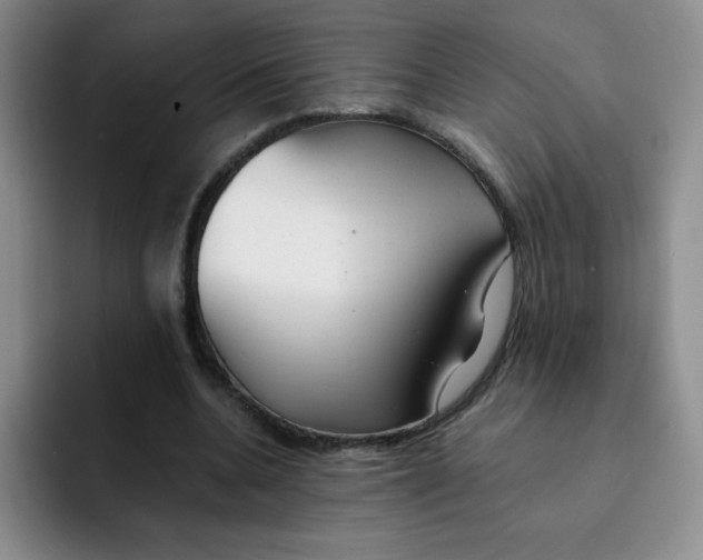 X0000091660536200709201146
