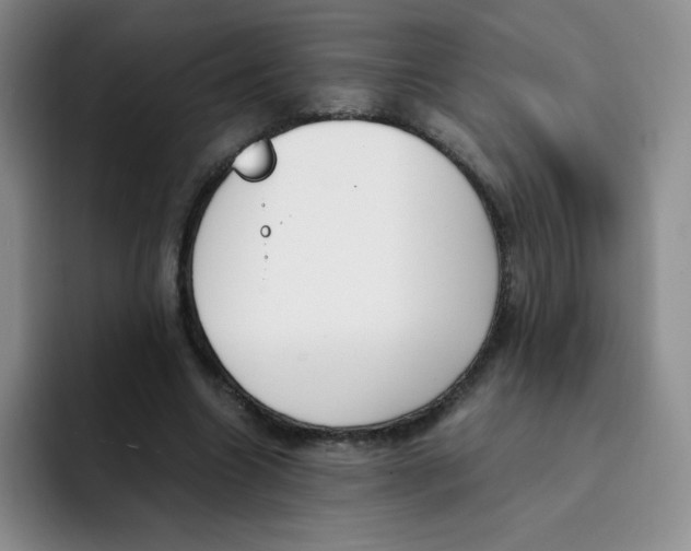 X0000091660538200709201146