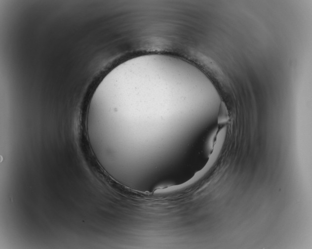 X0000091660540200709201146