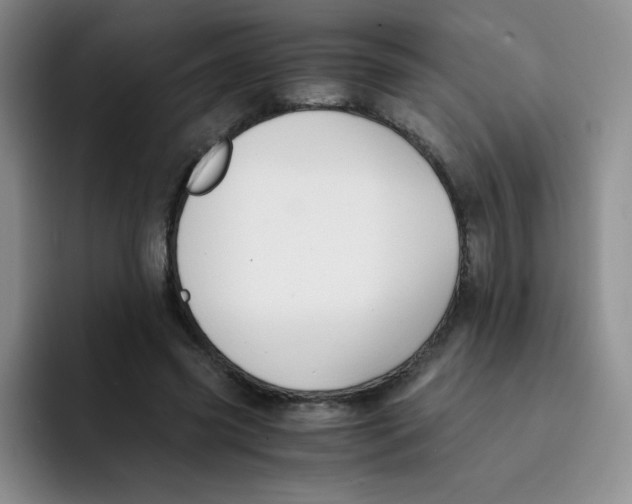 X0000091660541200709201146
