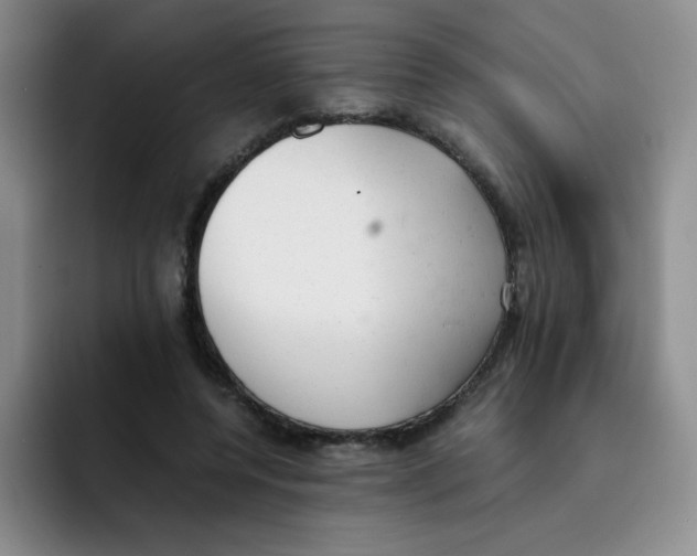 X0000091660544200709201146