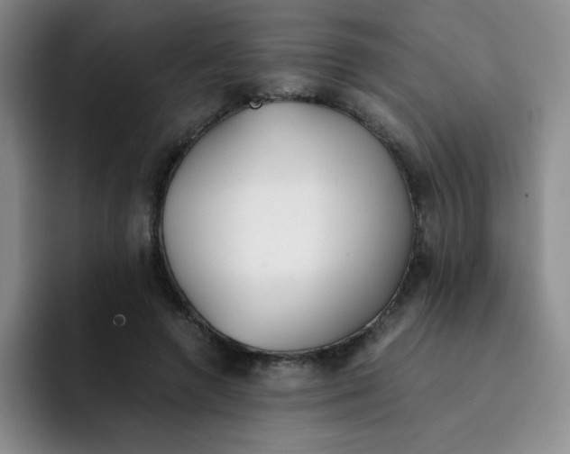 X0000091660546200709201146