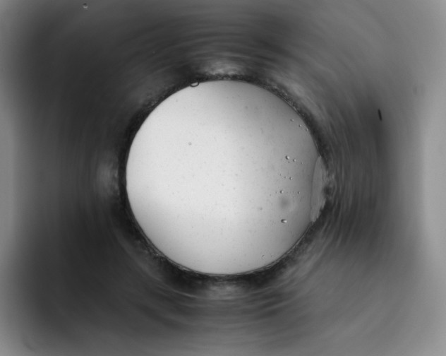 X0000091660547200709201146