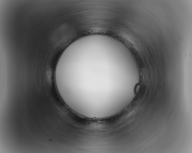 X0000091660550200709201146