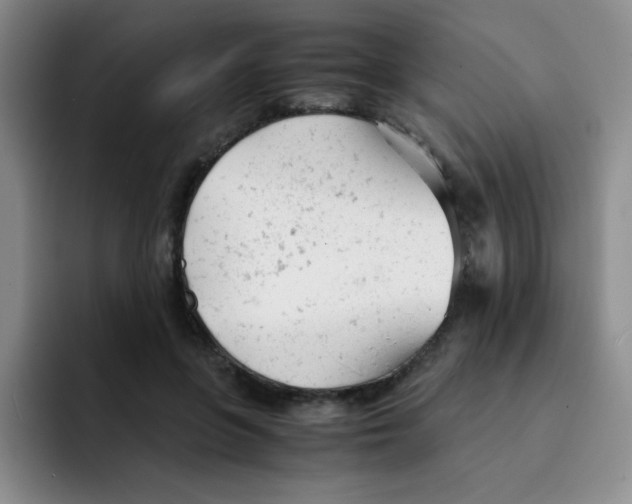 X0000091660551200709201146