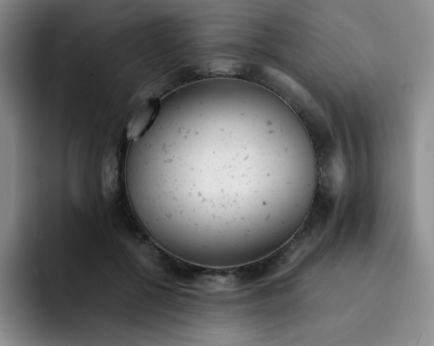X0000091660552200709201146