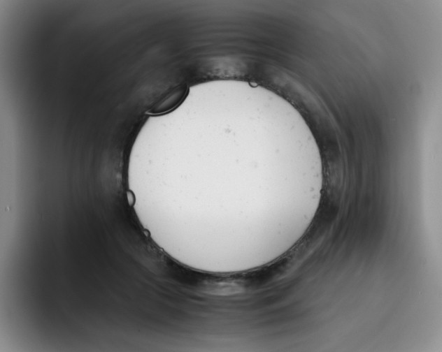 X0000091660553200709201146