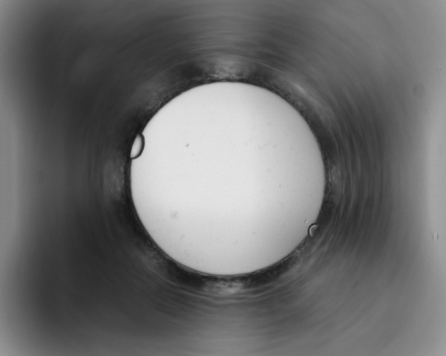 X0000091660554200709201146