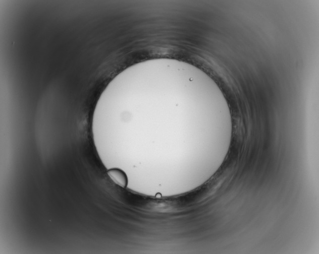 X0000091660557200709201146