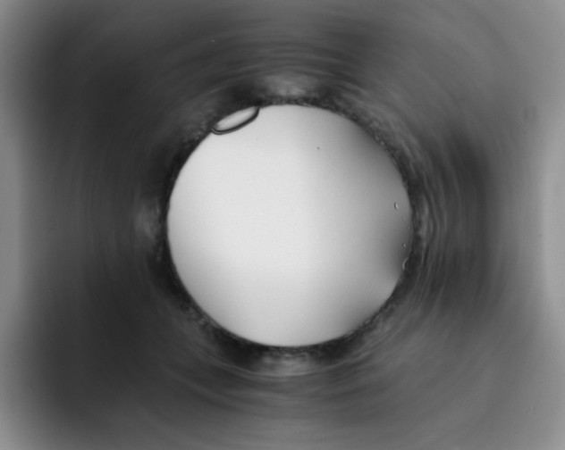 X0000091660559200709201146
