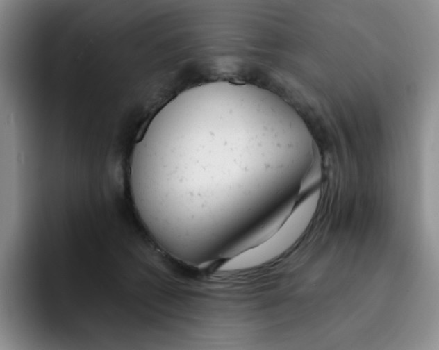X0000091660562200709201146