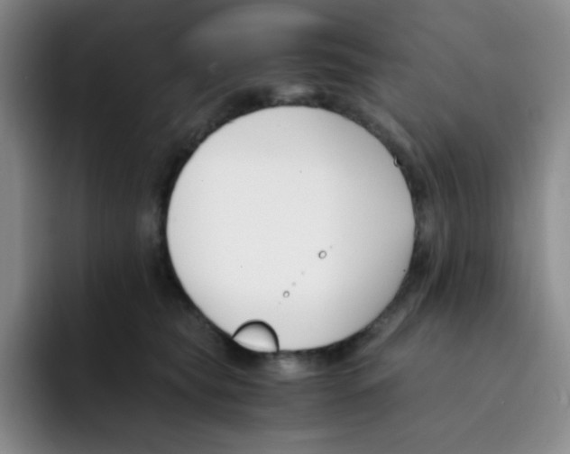 X0000091660565200709201146