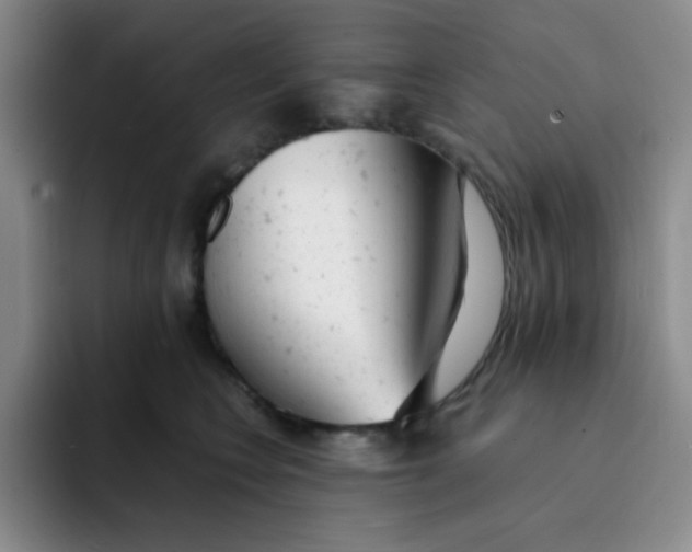X0000091660566200709201146