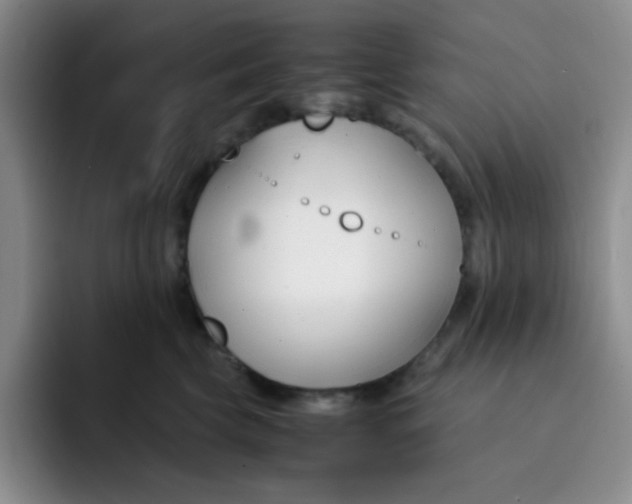 X0000091660569200709201146