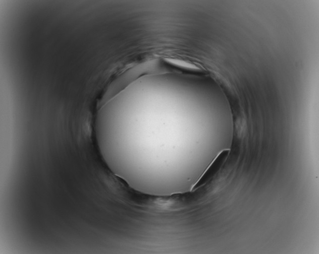 X0000091660570200709201146
