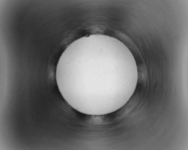 X0000091660573200709201146