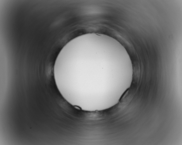 X0000091660574200709201146