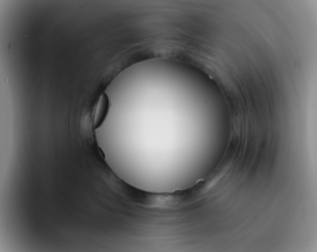 X0000091660575200709201146
