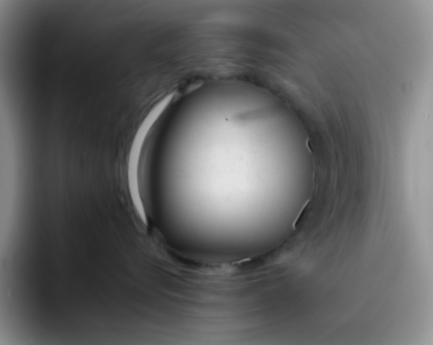 X0000091660576200709201146