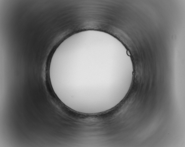 X0000091660578200709201146