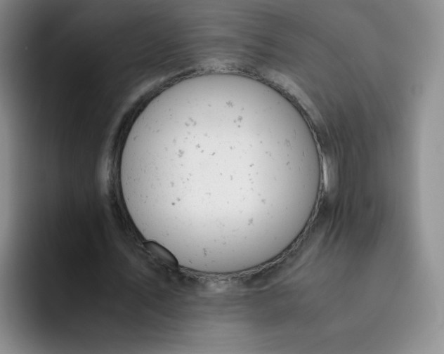 X0000091660579200709201146