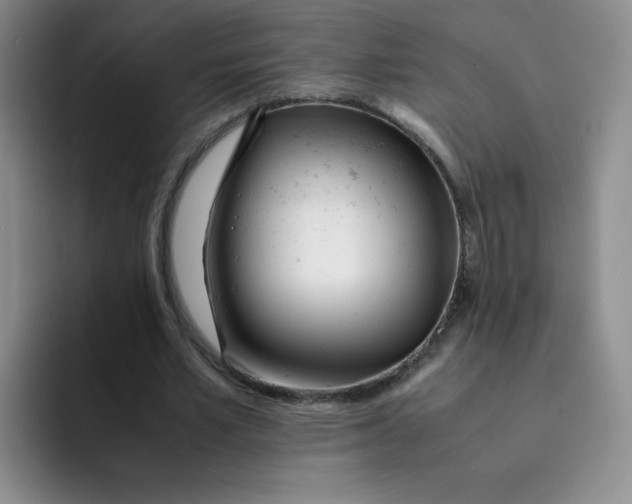 X0000091660581200709201146