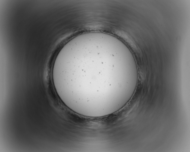 X0000091660583200709201146
