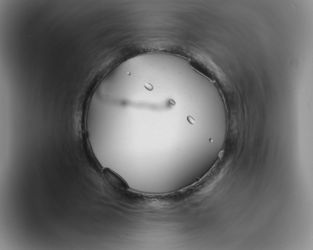 X0000091660585200709201146