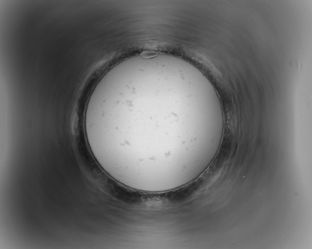 X0000091660587200709201146