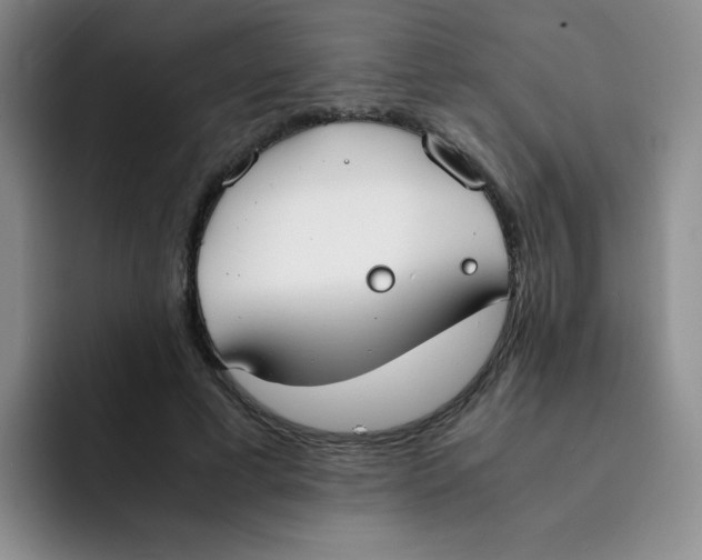 X0000091660593200709201146