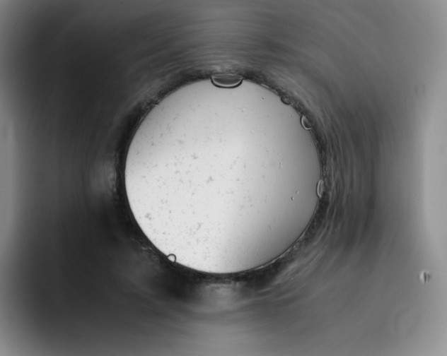 X0000091660595200709201146